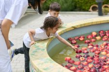 Spring Festival "Force of Love" held in Baku (PHOTO)