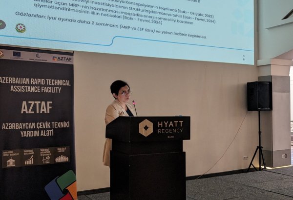 Terms of preparation of roadmap for Azerbaijan's national renovation program revealed