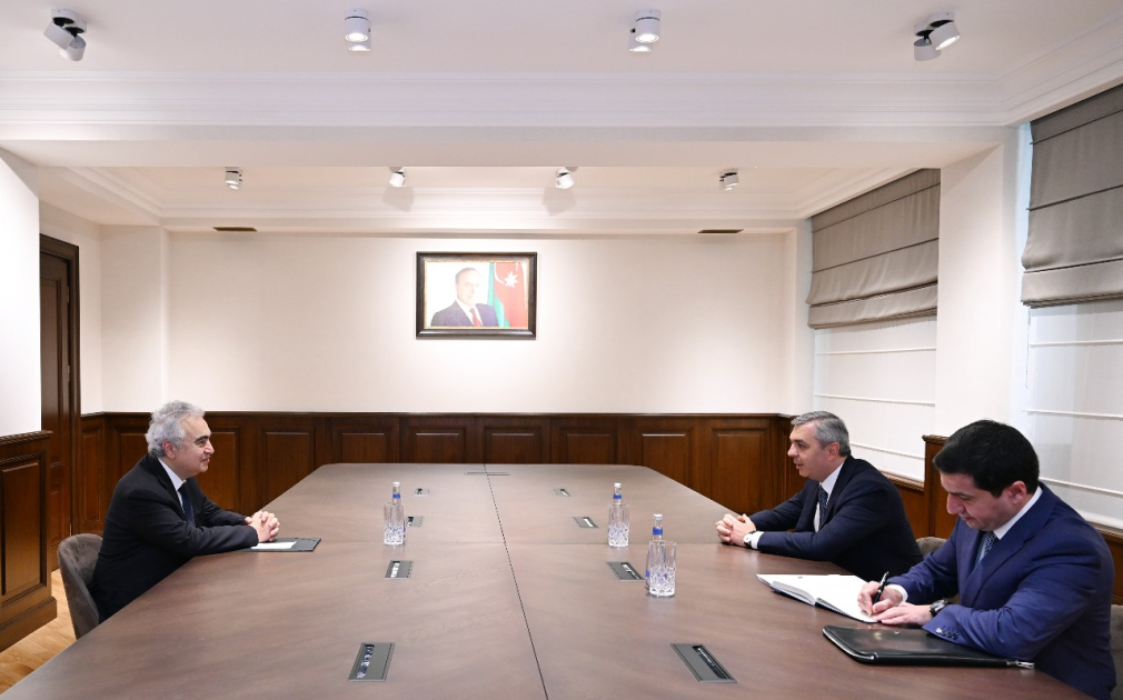 Head of Azerbaijani Presidential Administration meets with IEA Executive Director (PHOTO)