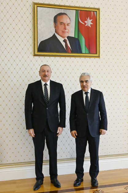 President Ilham Aliyev receives IEA's Fatih Birol (PHOTO)