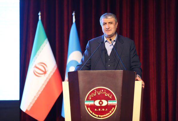 Tehran to retaliate for anti-Iranian nuclear resolution - vice president