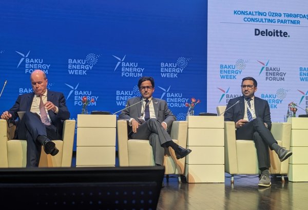 ADNOC looks forward to further partnership with Azerbaijan's SOCAR - executive director