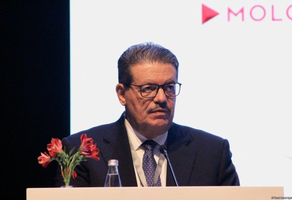COP29 in Azerbaijan destined for success - Gas Exporting Countries Forum SecGen