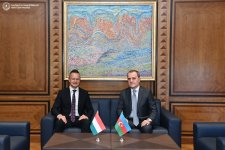 Azerbaijan, Hungary hold next meeting of Strategic Dialogue (PHOTO)