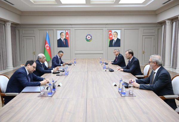 Azerbaijani PM meets with Knauf Group delegation