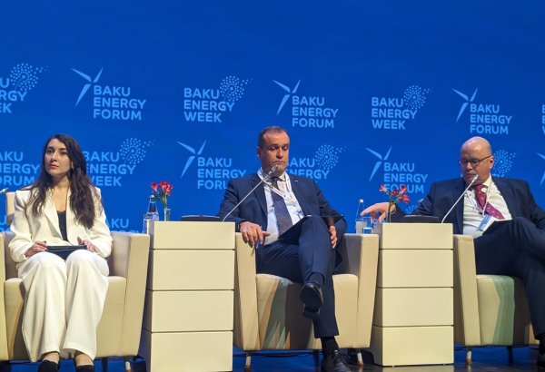 MVM Group's strategy relies on Hungary's energy deals with Azerbaijan - СEO