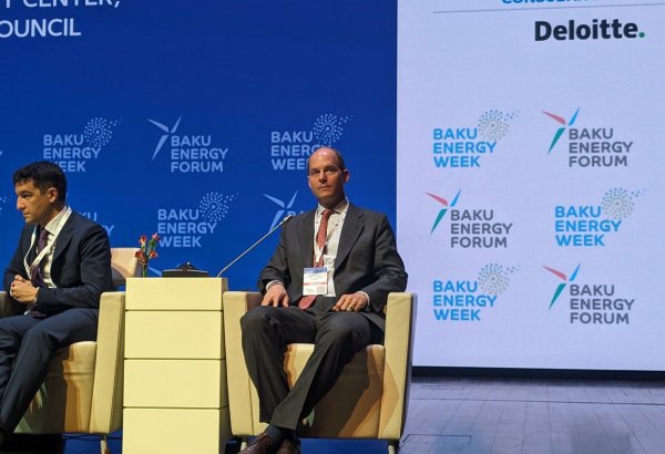 Delivering Azerbaijani gas to Central Europe needs consideration - VNG