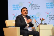 29th Baku Energy Forum wraps up (PHOTO)