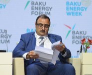 29th Baku Energy Forum wraps up (PHOTO)