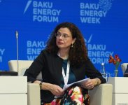 29th Baku Energy Forum wraps up (PHOTO)