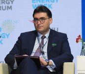 29th Baku Energy Forum wraps up (PHOTO)