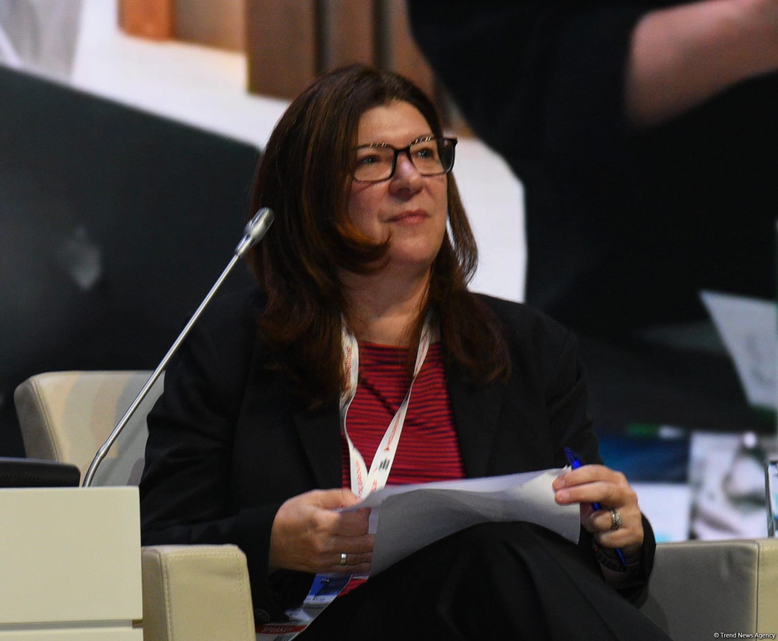 29th Baku Energy Forum wraps up (PHOTO)