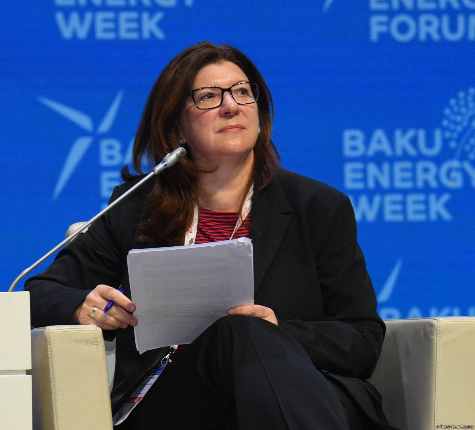 Private sector should engage in climate action financing - CACE