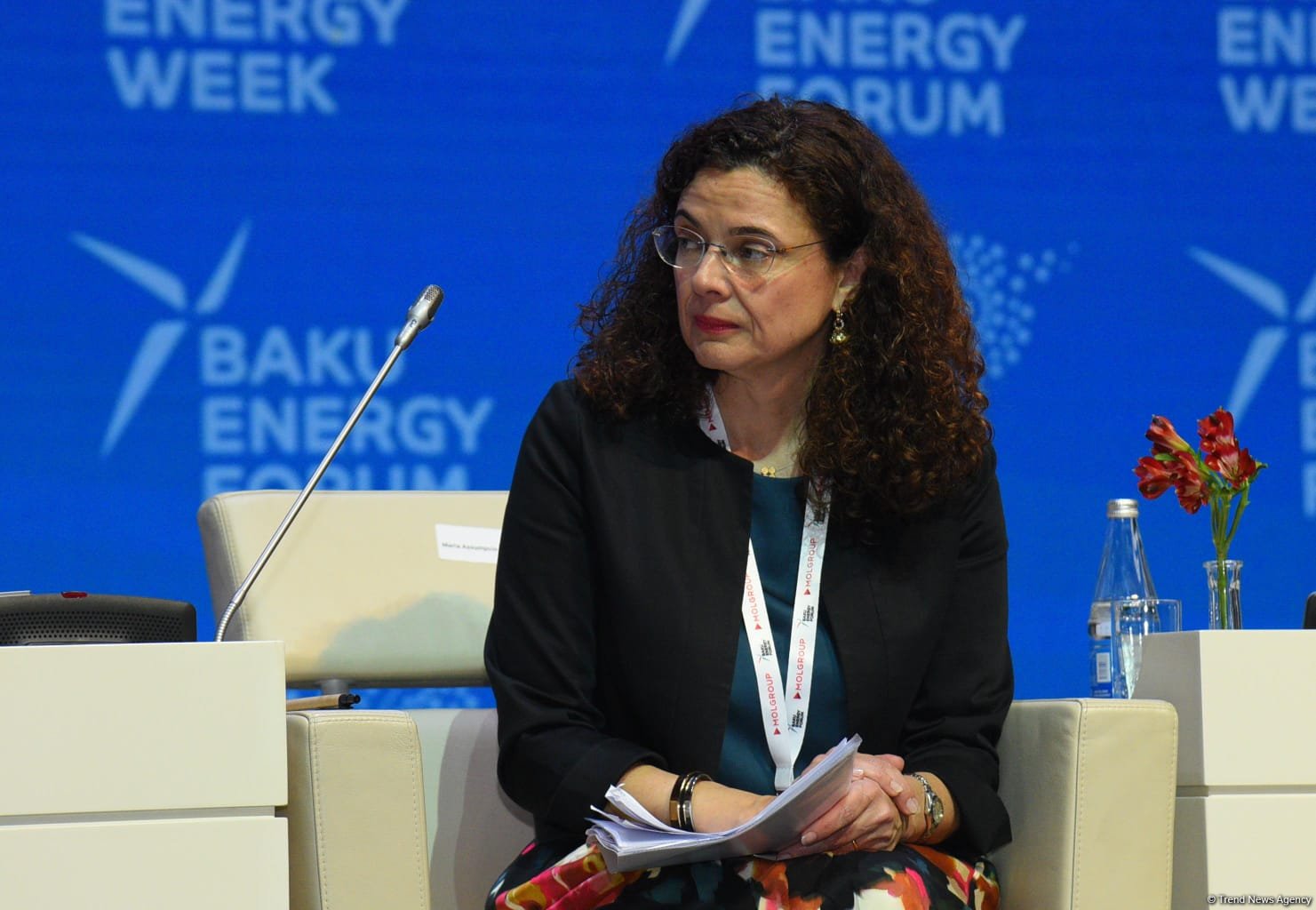 29th Baku Energy Forum wraps up (PHOTO)