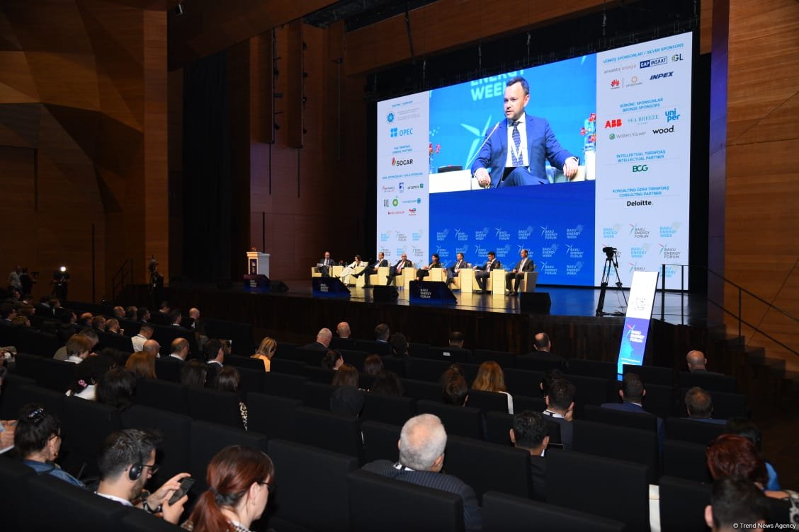 29th Baku Energy Forum wraps up (PHOTO)