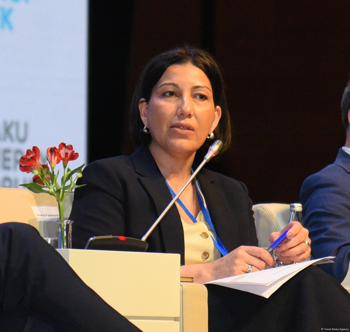 bp working on decarbonization at Azerbaijan's Sangachal terminal
