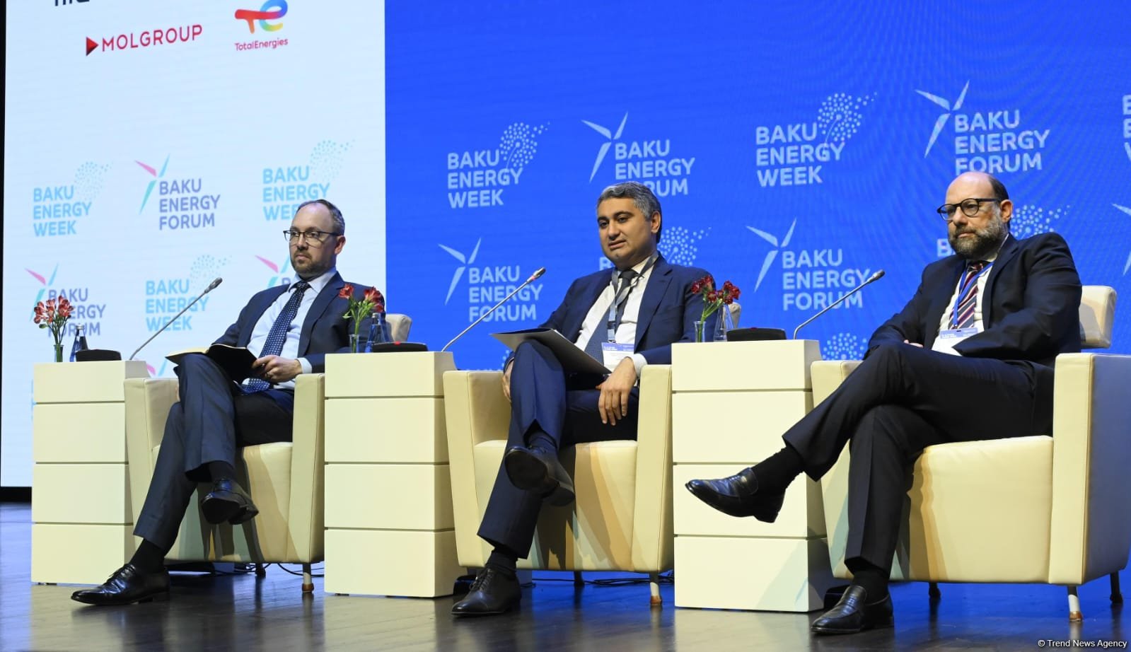 29th Baku Energy Forum wraps up (PHOTO)