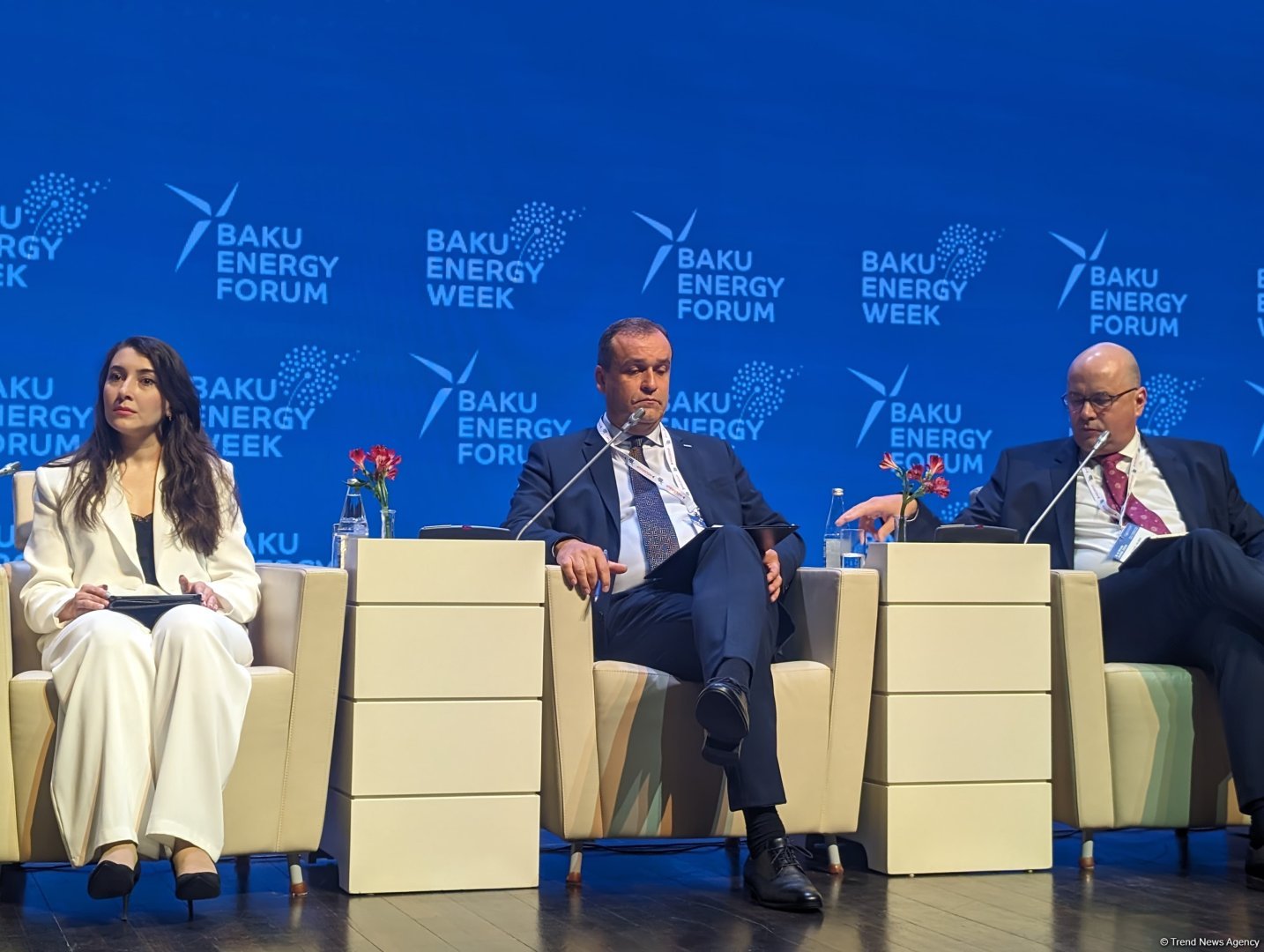 MVM Group's strategy relies on Hungary's energy deals with Azerbaijan - СEO
