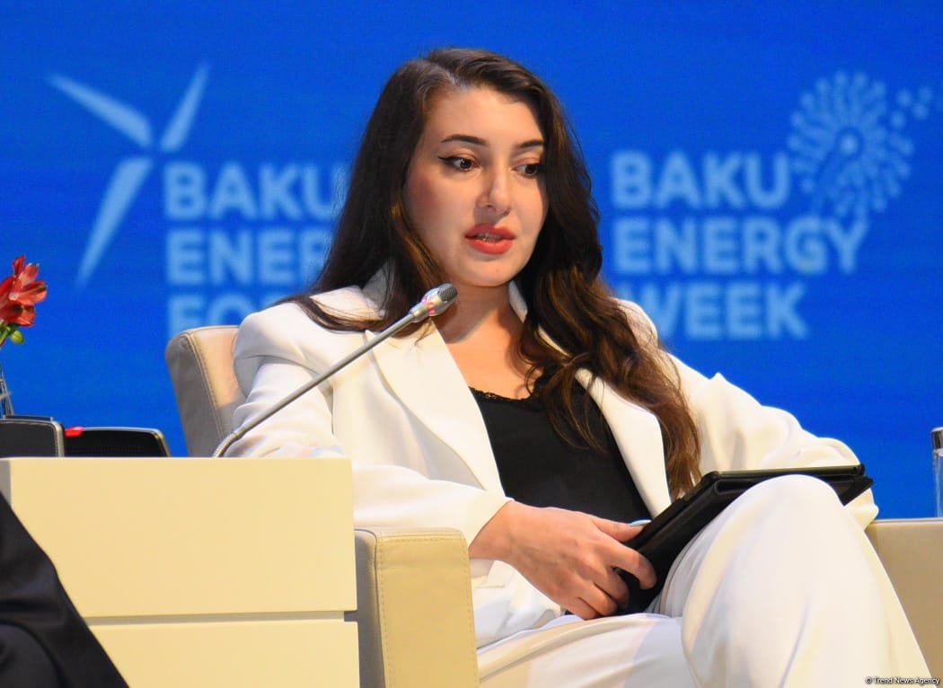 Azerbaijan's SOCAR envisages implementation of new liquefied natural gas projects