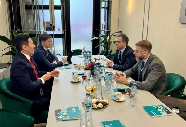 Samruk-Kazyna, SIBUR discuss next stages of polyethylene production project