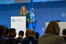 Bonn hosts presentation on COP29 preparations (PHOTO)