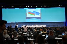 Bonn hosts presentation on COP29 preparations (PHOTO)