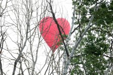 Balloon Festival kicks off in Azerbaijan's Shamakhi (PHOTO/VIDEO)
