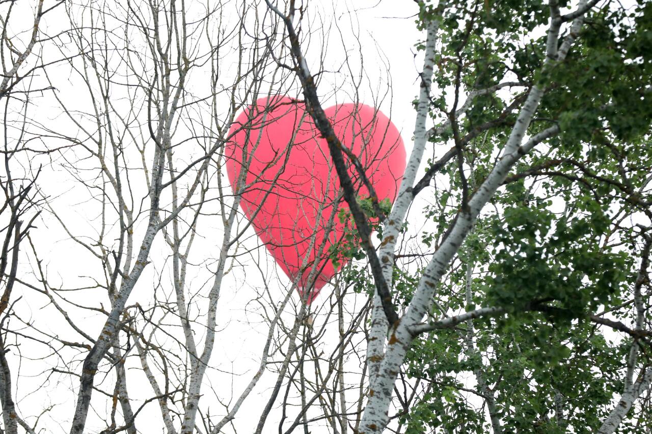 Balloon Festival kicks off in Azerbaijan's Shamakhi (PHOTO/VIDEO)