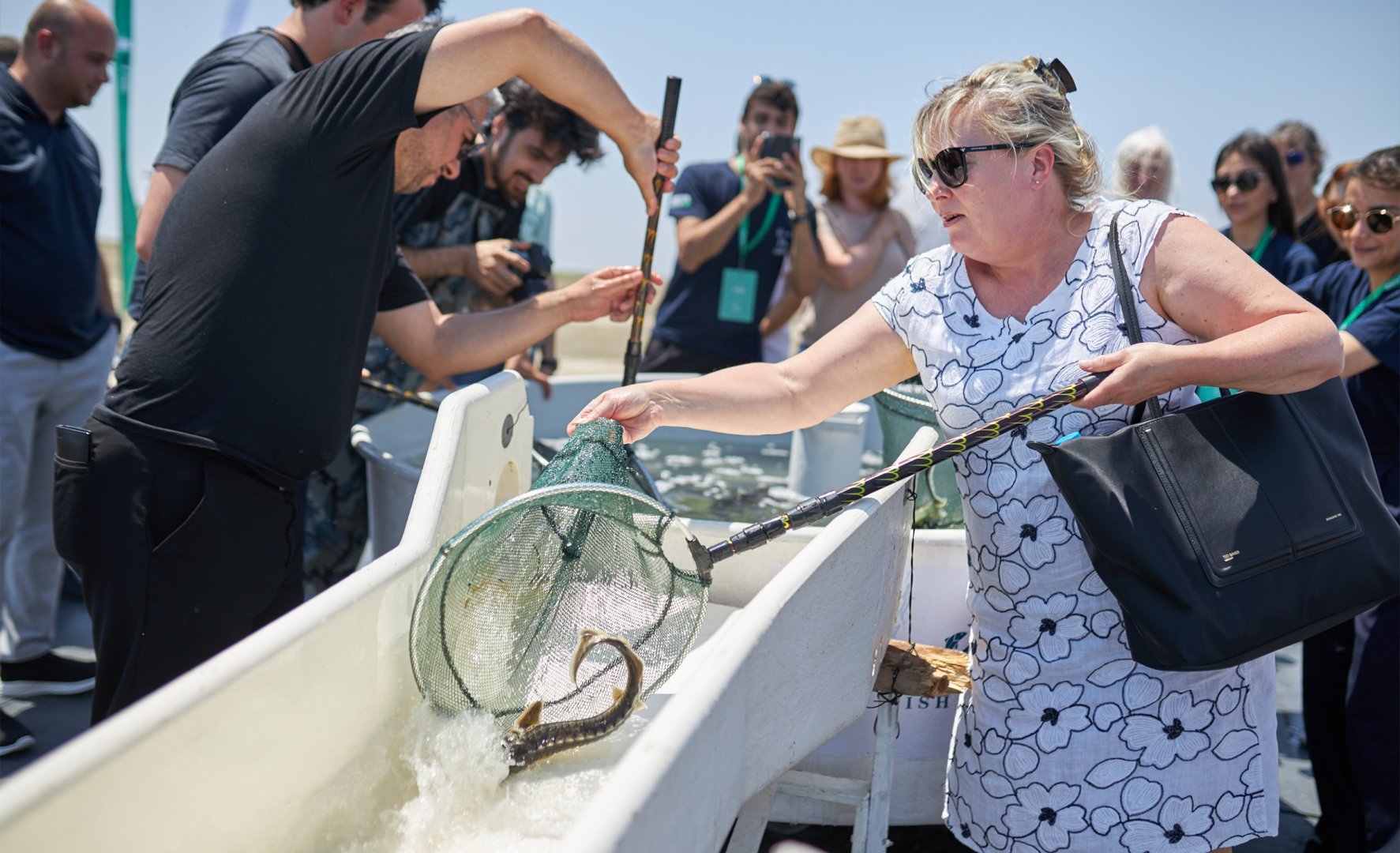 5,000 sturgeons were released into the Caspian Sea as part of the CANSO event (PHOTO)