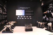 Azerbaijan unveils Mud Volcanoes Tourist Complex ticket prices (PHOTO)