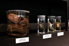 Azerbaijan unveils Mud Volcanoes Tourist Complex ticket prices (PHOTO)