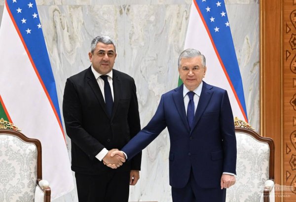 Uzbekistan, WTO discuss implementation of joint programs and projects