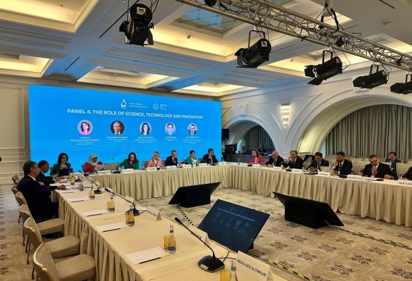 Azerbaijan's Baku hosts panel discussion on "Role of Science, Technology, and Innovation" at COP29 high level meeting