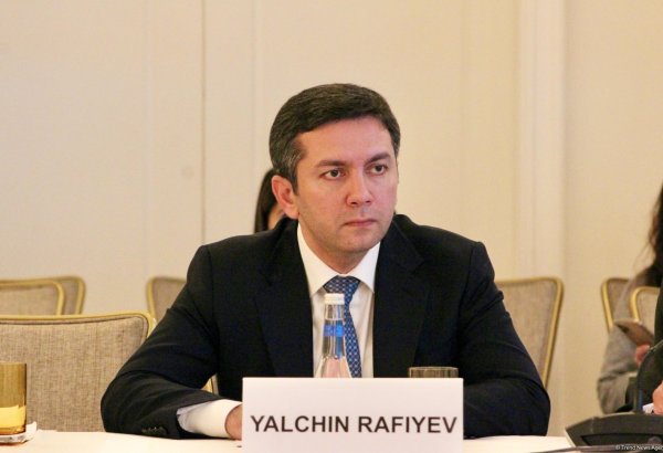 Azerbaijan's COP29 to stand out with numerous adopted statements - official