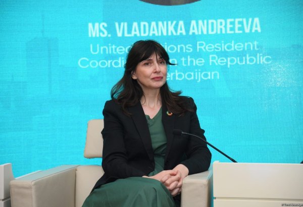 UN resident coordinator in Azerbaijan shares insights on engaging youth in climate action