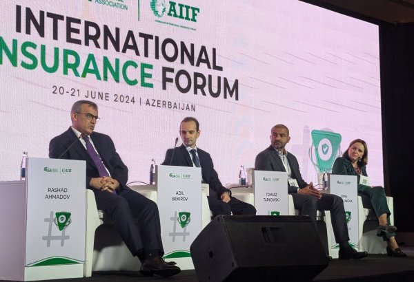 Azerbaijani PASHA Insurance's main objective in digitization lies in long-term growth in customer numbers - official