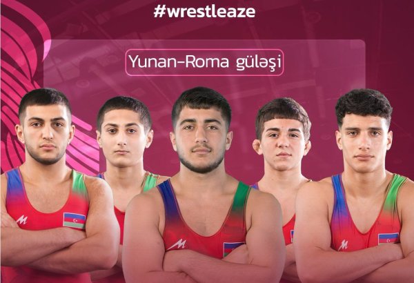 Azerbaijani wrestler reaches final of European Championship