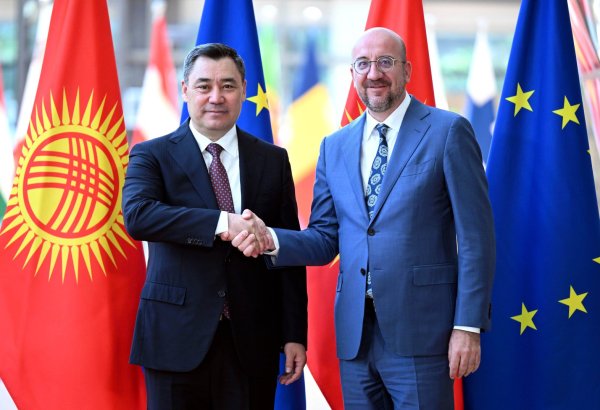 Kyrgyzstan, European Council discuss lifting ban on flights to EU