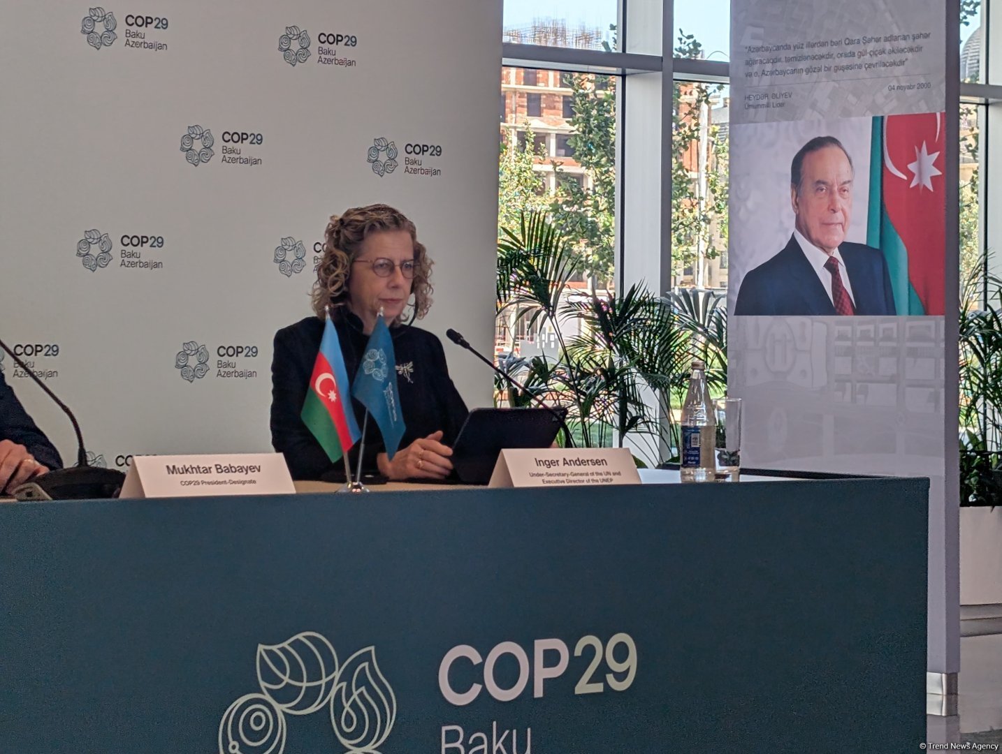 UNEP aims to do its utmost to ensure COP29's success - Inger Andersen