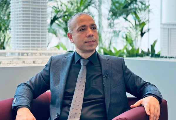 Azerbaijan details energy transition initiatives at COP29 (Exclusive)