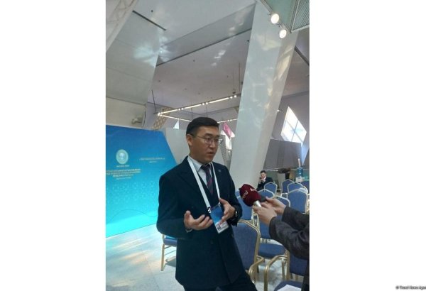 Routes across Azerbaijan crucial for enhancing SCO region's transportation capacity - expert