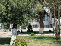 Palace, Garabagh hotels in Azerbaijan's Khankendi offer full range of services (PHOTO)