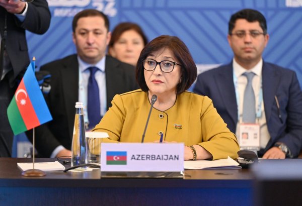 European parliamentary bodies to avoid pressure and double standards - official