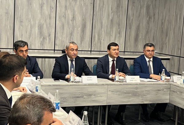 Azerbaijan counts this year's homegrown electric filling stations