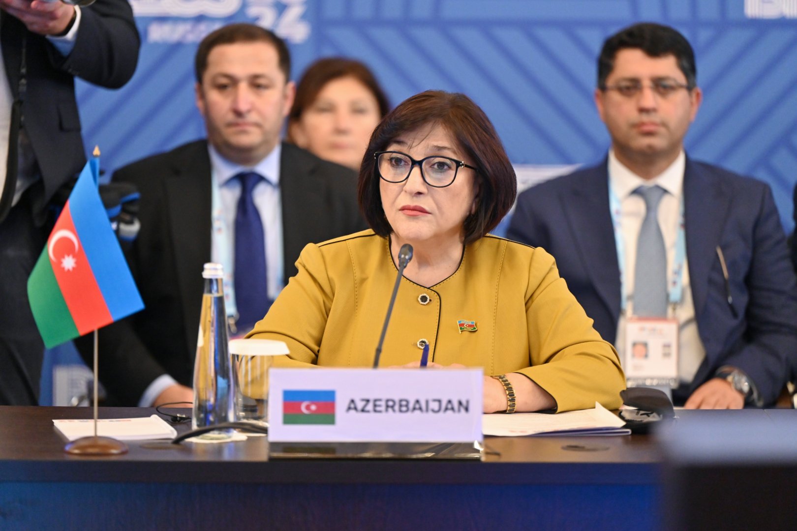European parliamentary bodies to avoid pressure and double standards - official