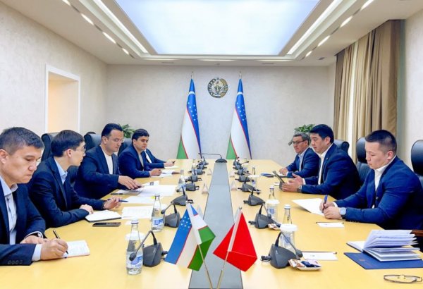 Kyrgyzstan plans to open trade house in Uzbekistan