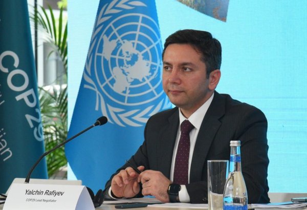 Azerbaijan proposes to approve establishment of Climate Finance Action Fund at COP29