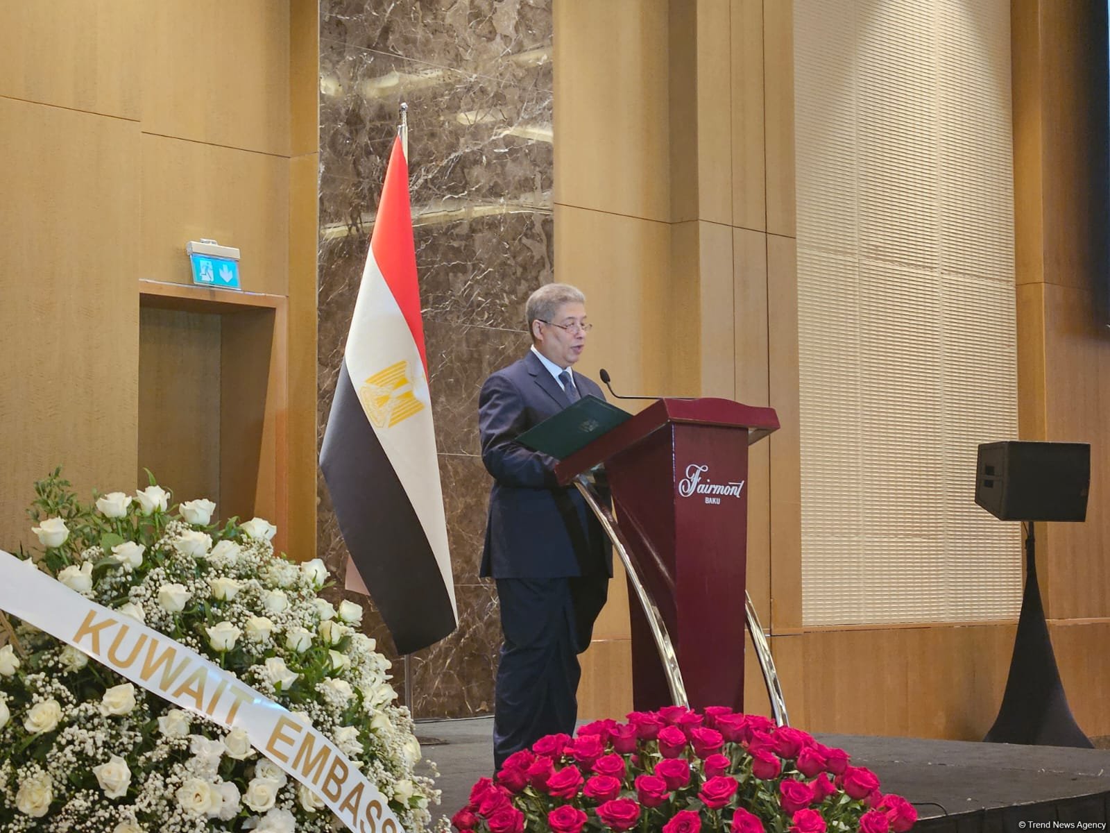 Egypt ready to collaborate with Azerbaijan within COP29 framework - ambassador