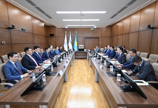 KazMunayGas, QazaqGaz discuss prospects for co-op in project implementation