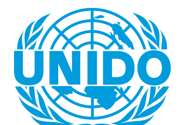 UNIDO advancing Uzbekistan's economy, environment via projects (Exclusive)